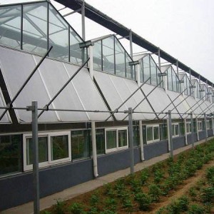 Ventilation System for Venlo Greenhouse